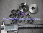 Tungsten Carbide Seals Picture